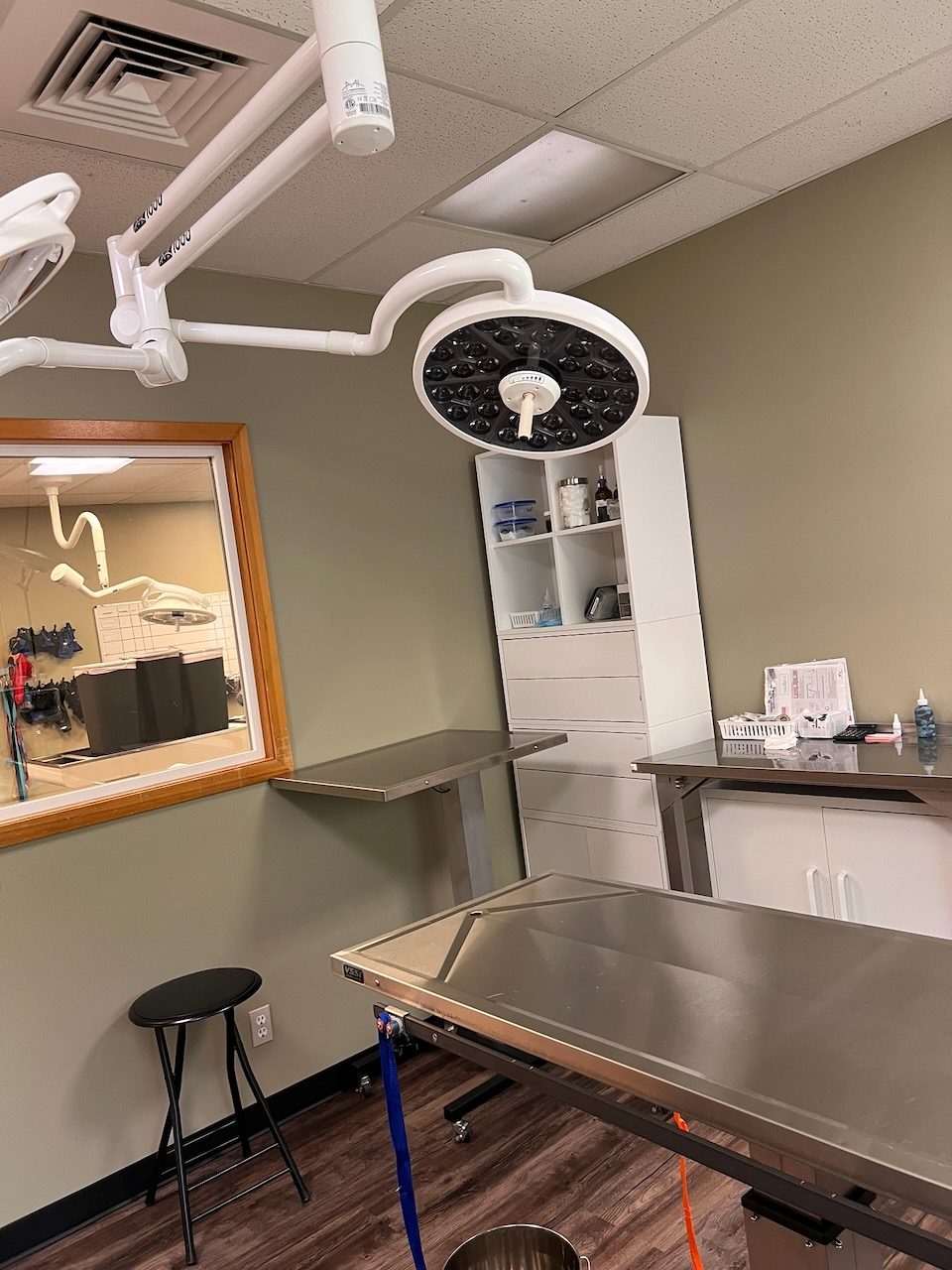 Another view of the surgery suite, with the surgical lights, the stainless table, and a window into the next room