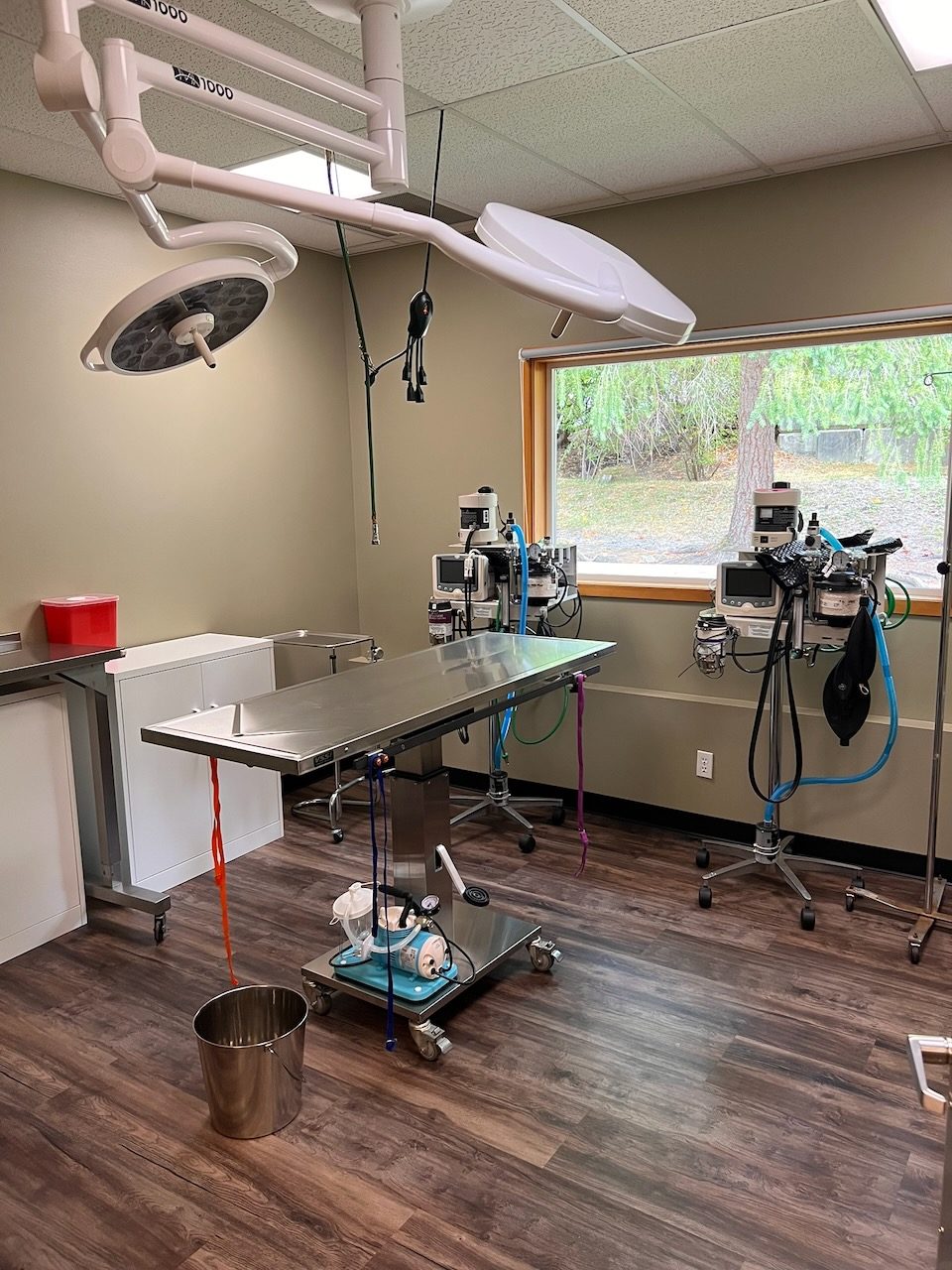 The surgery suite: a surgical table under twin surgical lights, with monitoring equipment and a window onto the trees