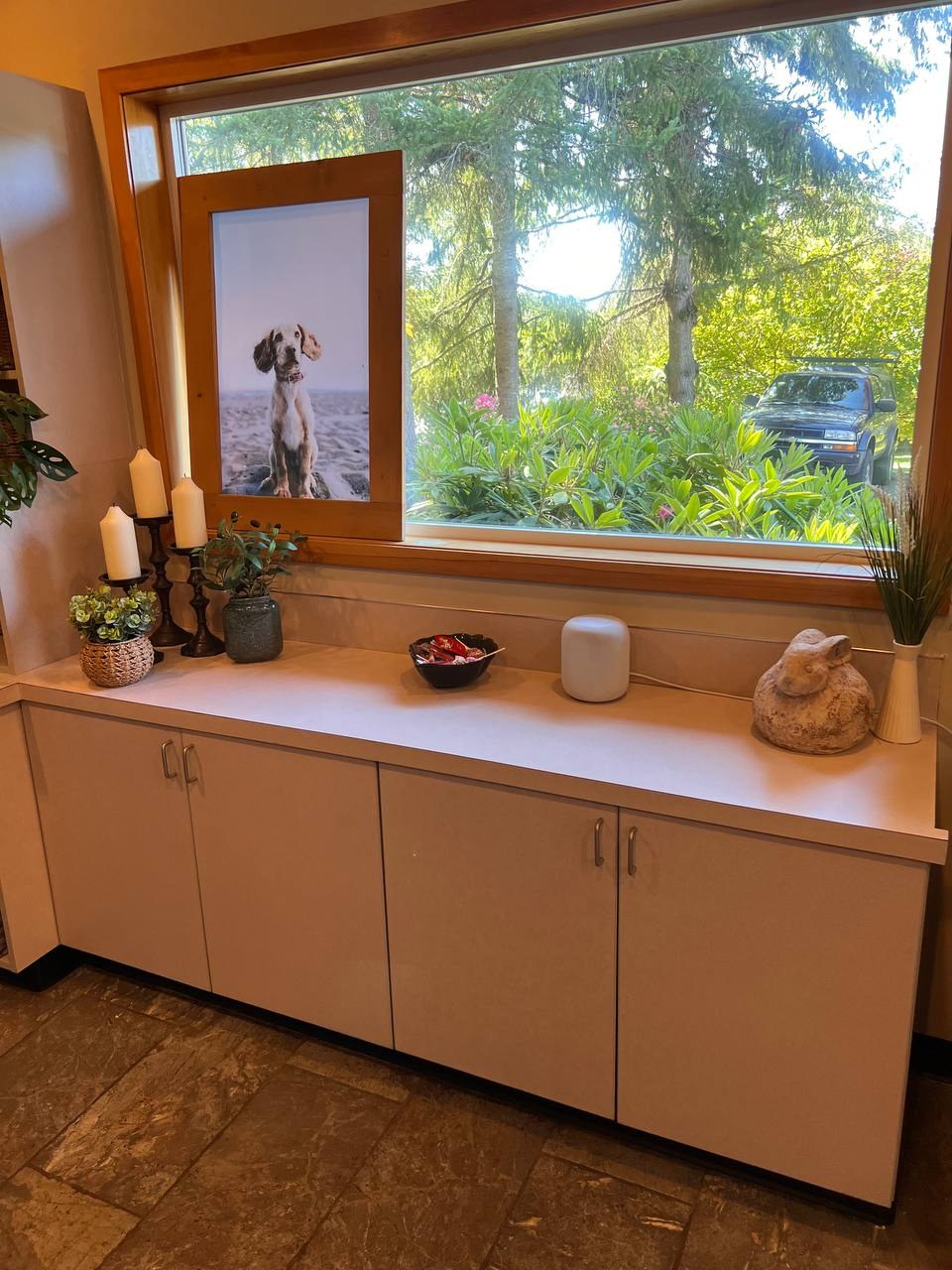 A sunlit window ledge with candles, plants, and a framed photo of a dog at the beach