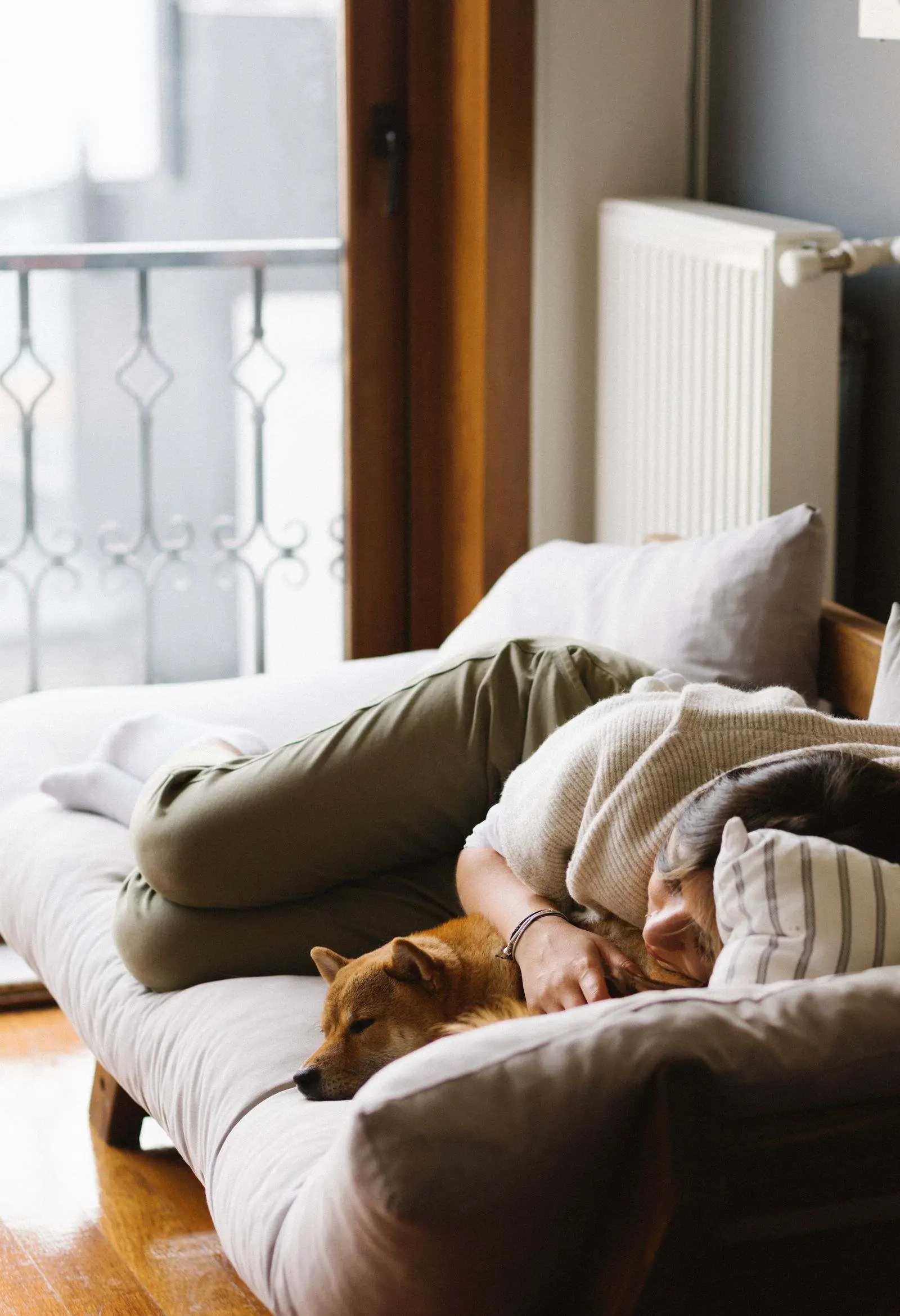 A red-coated dog asleep on a sofa, curled against its owner in soft window light